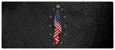 DNSEMP-L-421-SH-BK Flag at Rest Shimmer Black